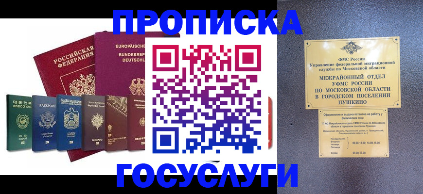 прописка поиск в Чите